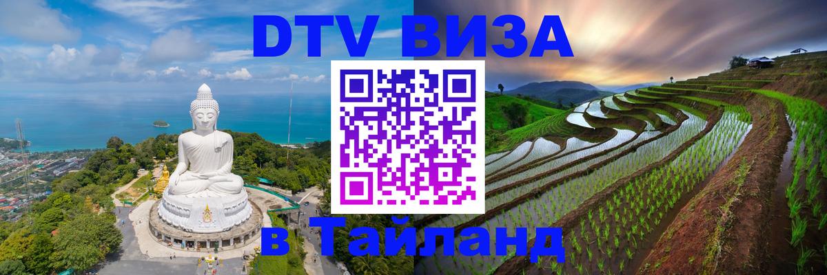 Оформление DTV визы под ключ: стоимость и тарифы, только загранпаспорт - 18.11.2025 